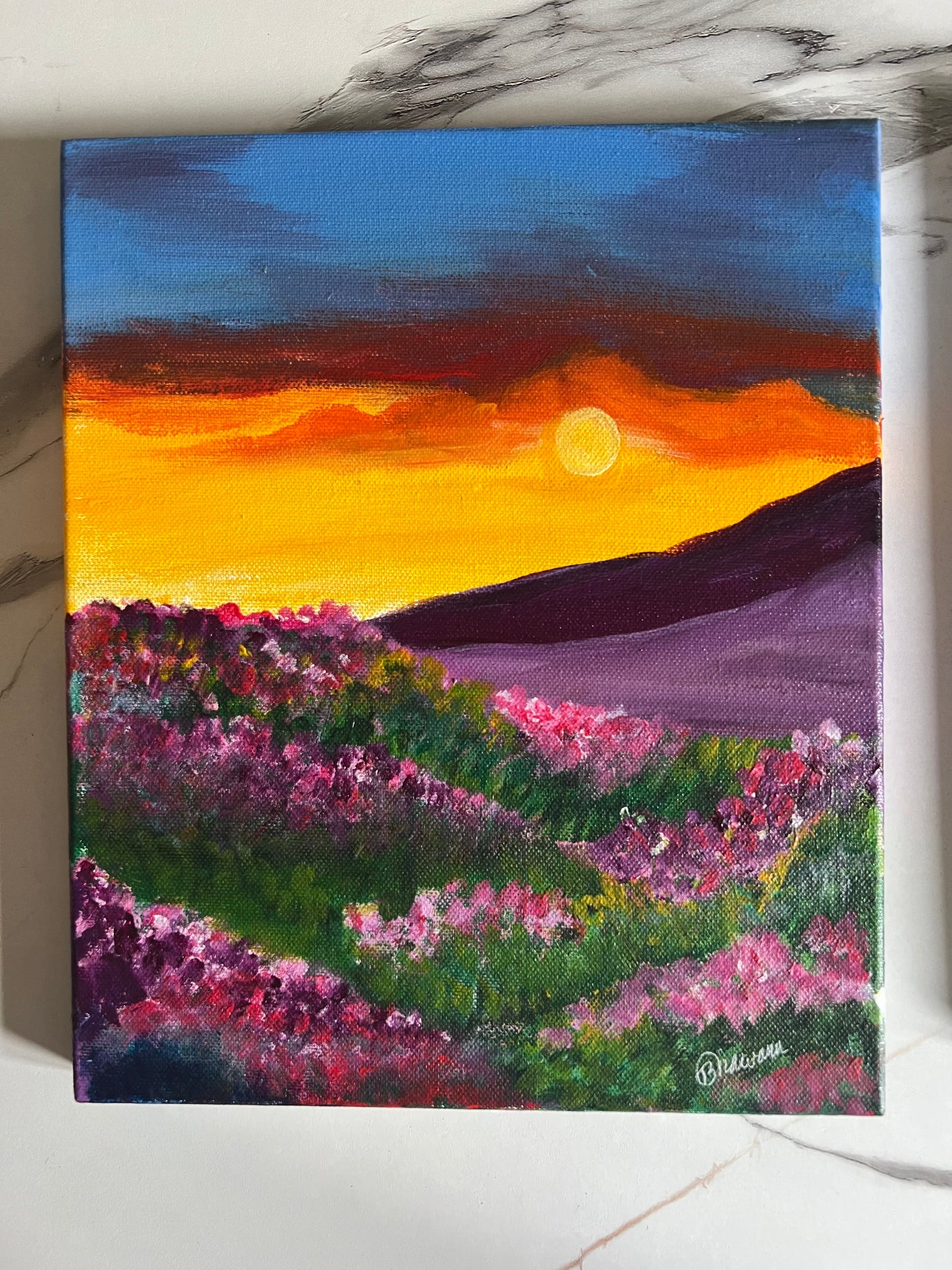Detailed Acrylic Painting on 12" x 10" Stretched Canvas | Sunset Blooms